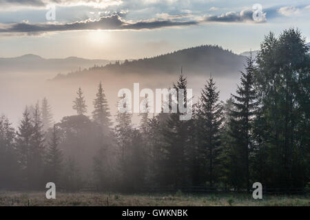 Nebel über Bergkette bei Sonnenaufgang Licht. Morgensonne Strahlen durch den Nebel über Berghänge mit Fichtenwald bedeckt. Stockfoto