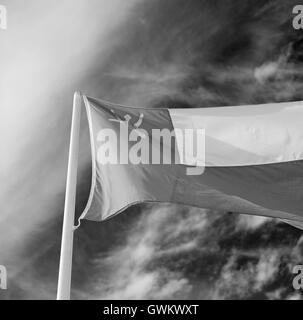 und der bewölkten Himmel in Oman wehende Flagge Stockfoto