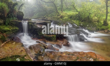 Cadworthy Wasserfälle, Fluß Plym, dartmoor Stockfoto