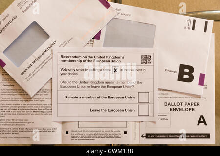 Abstimmung für 23. Juni 2016 bildet EU-Referendum Stockfoto