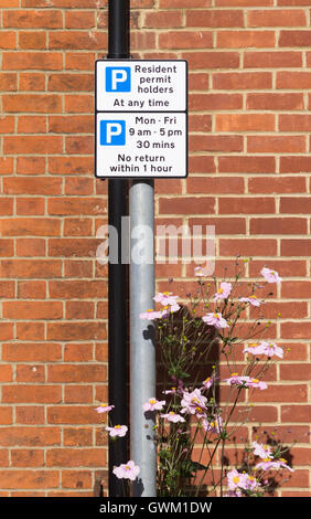 Rosafarbene Gänseblümchen in einer städtischen Umgebung überwachsen Inhaber einer Aufenthaltsgenehmigung nur Parken und keine Rückkehr innerhalb von 1 Stunden Schild in Basingstoke. England Stockfoto