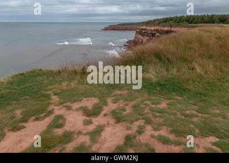 Strände und Küsten von Prince Edward Island. Sankt-Lorenz-Golf. Stockfoto