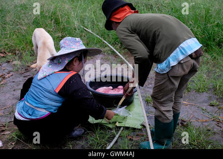 Akha Familienangehörigen von den Lisu Bergstämme Reinigung Fleisch in einem bergigen Lisu Dorf in Dong Si Yen ein Tambon (Unterbezirk) Chai Prakan District, Provinz Chiang Mai, Nordthailand. Die Lisu sind direkte Nachkommen der indigenen semi-nomadische Stämme Tibets. In den letzten 300 Jahren oder so für politische und überleben Gründe, viele Menschen durch China, Burma, Laos und Thailand nach unten wandern. Stockfoto