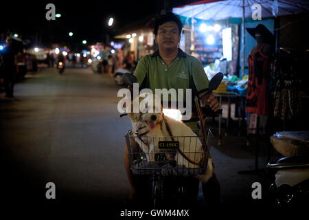 Ein Mann reitet mit einem Hund auf einem Moped in Pai, einer kleinen Stadt in Mae Hong Son, einer abgelegenen, bergigen Provinz im Norden Thailands, grenzt an Myanmar (Birma) Stockfoto