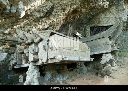 Hunderttausend Jahre hängenden Sarg und Stein Friedhof der Toraja Leute Stockfoto