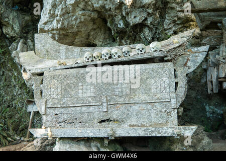 Hunderttausend Jahre hängenden Sarg und Stein Friedhof der Toraja Leute Stockfoto