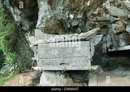 Hunderttausend Jahre hängenden Sarg und Stein Friedhof der Toraja Leute Stockfoto