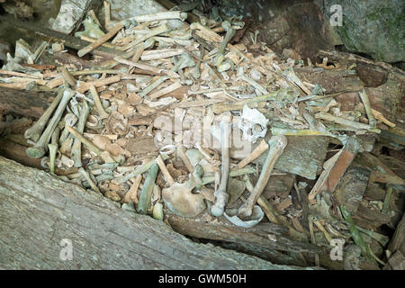 Hunderttausend Jahre hängenden Sarg und Stein Friedhof der Toraja Leute Stockfoto