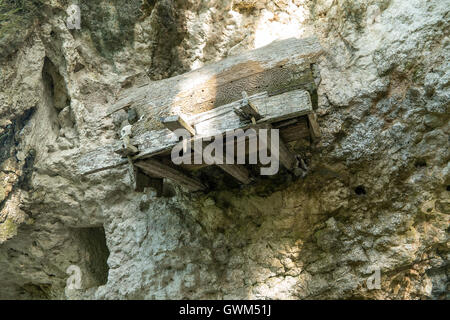 Hunderttausend Jahre hängenden Sarg und Stein Friedhof der Toraja Leute Stockfoto