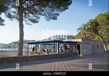 Baum an einem sonnigen Sommernachmittag am 3. September 2016 in Santa Ponsa, Mallorca, Balearische Inseln, Strand und bar Stockfoto