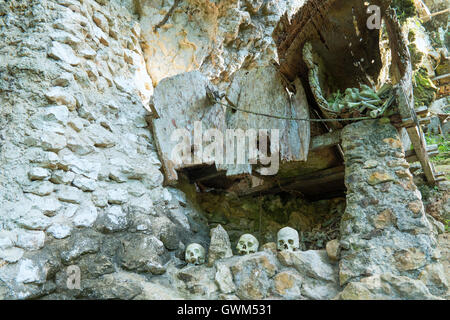 Hunderttausend Jahre hängenden Sarg und Stein Friedhof der Toraja Leute Stockfoto