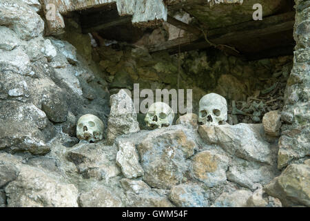 Hunderttausend Jahre hängenden Sarg und Stein Friedhof der Toraja Leute Stockfoto