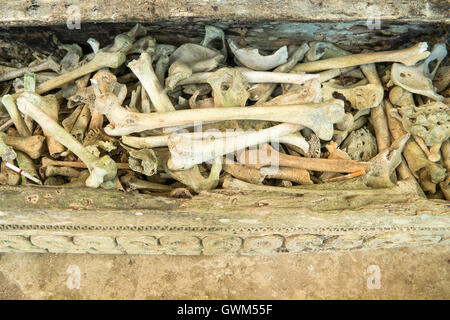 Hunderttausend Jahre hängenden Sarg und Stein Friedhof der Toraja Leute Stockfoto