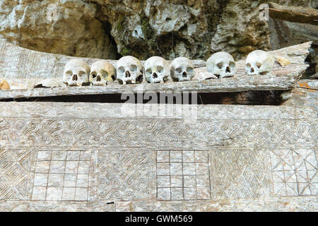 Hunderttausend Jahre hängenden Sarg und Stein Friedhof der Toraja Leute Stockfoto