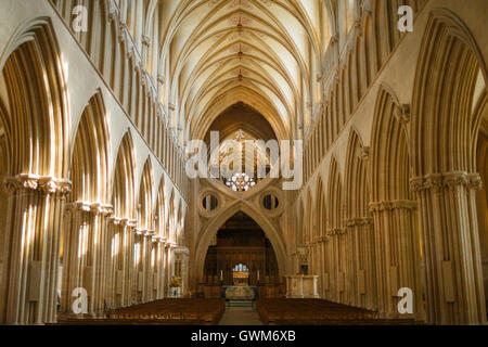 Innenansicht der Wells Cathedral Kirche des Hl. Andreas Stockfoto