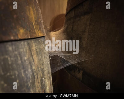 Single-Malt Cask Stärke Whisky in Fässern mit Spider webs, in einem verschlossenen Lager, in Glengoyne Scottish malt Whiskybrennerei, in der Nähe von Glasgow, Schottland. Stockfoto