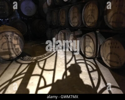 Single-Malt Cask Stärke Whisky in Fässern in einem verschlossenen Lager in Glengoyne schottische Malt Whiskybrennerei, in der Nähe von Glasgow, Schottland. Stockfoto