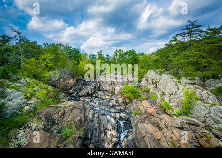 Stromschnellen in den Potomac River in Great Falls, gesehen von Olmsted Island bei Chesapeake & Ohio Canal National Historical Park, Maryla Stockfoto