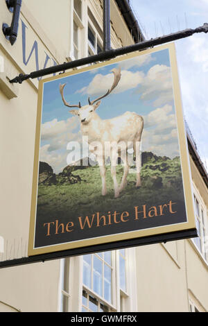 Das weiße Hart Dorf Pub Schild. Nominierungsparteitag, Essex, England, UK Stockfoto