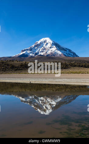 Sajama Vulkan und See Huayñacota, in der natürliche Park Sajama. Bolivien Stockfoto