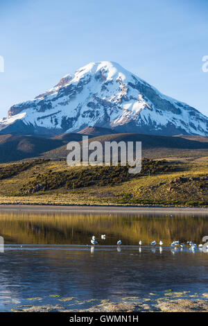 Sajama Vulkan und See Huayñacota, in der natürliche Park Sajama. Bolivien Stockfoto