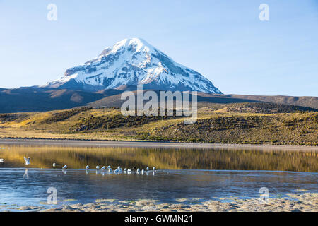 Sajama Vulkan und See Huayñacota, in der natürliche Park Sajama. Bolivien Stockfoto