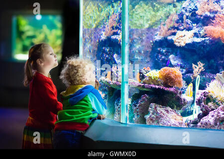 Kleine Jungen und Mädchen, die tropischen Korallen Fische im großen Meer Leben Tank beobachten. Kinder im Zoo-Aquarium. Stockfoto