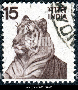 Indien - ca. 1975: Briefmarke gedruckt in Indien, zeigt den Kopf eines Tigers, ca. 1975 Stockfoto