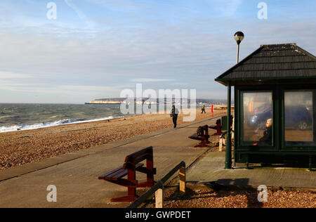 Ältere Dame sitzt im Tierheim am Meer auf einem Winternachmittag, Newhaven im Hintergrund, Seaford, East Sussex, England Stockfoto