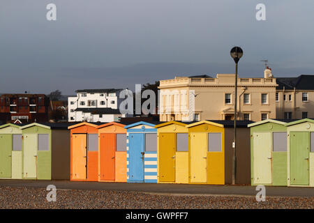 Linie der hölzernen Umkleidekabinen am Meer an einem Winternachmittag, Seaford, Ostsussex, England Stockfoto