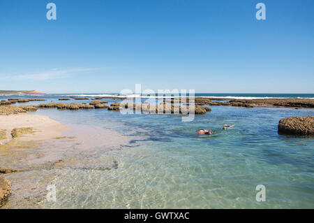 Kalbarri, WA, Australien-21. April, 2016:Tourists Schnorcheln im Gezeiten-Pools am blauen Löcher Strand im Indischen Ozean an der Coral Coast von Western Australia Stockfoto
