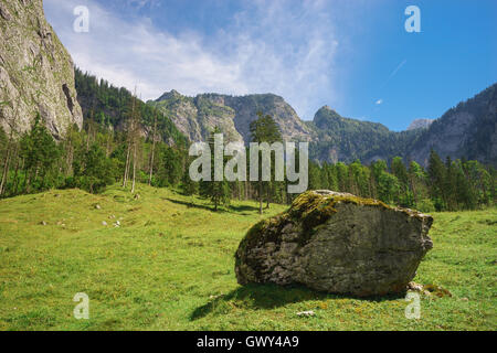 Landschaftlich reizvolle alpine Landschaft mit Bergen, Wald und großen Stein vor Stockfoto