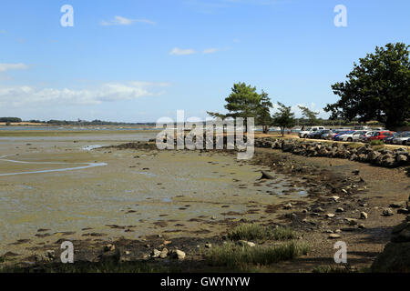 Ebbe am Fluss la Marle aus Ile de Conleau, Vannes, Morbihan, Bretagne, Frankreich Stockfoto