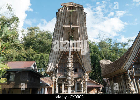 Tongkonan Häuser, traditionelle Toraja Gebäude und Haus befindet sich am Ke'Te Kesu Stockfoto