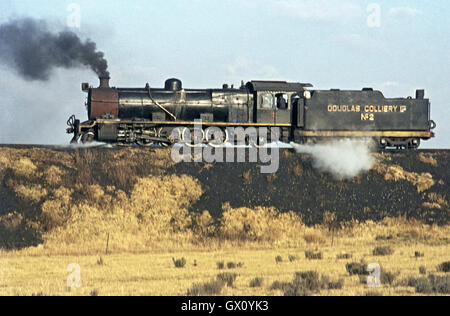 Ein schöner South African Railways 12A Klasse 4-8-2, speziell gebaut für Kohlenreviers Service, sonnt sich im Sonnenschein zwischen den Zügen der Stockfoto