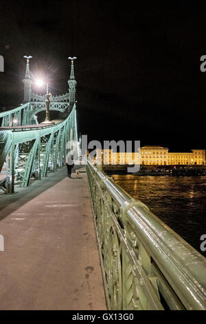 Mädchen zu Fuß Hund über Freiheit Brücke in der Nacht in Budapest, Ungarn. Corvinus Universität im Hintergrund. Stockfoto