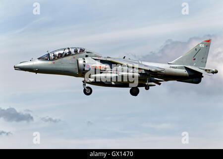 Eine BAe Systeme Harrier T12, serielle ZH657/105, am Finale bei der RNAS Yeovilton International Air Day 2010 zu landen. Stockfoto