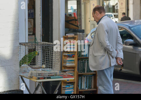 Camilla Antiquariat mit einem Papagei außerhalb. Eastbourne. East Sussex. England. UK Stockfoto