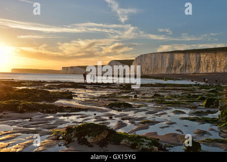 Birling Gap Strand und die sieben Schwestern Kreidefelsen, East Dean. Eastbourne. Stockfoto