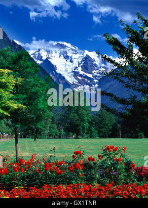 Berg Jungfrau gesehen von Interlaken, Berner Oberland, Schweiz Stockfoto