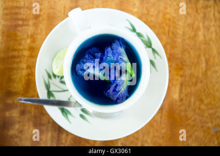 Thai blau oder Butterfly Pea Tee aus der Clitoria Tematea Pflanze Gewichtsabnahme induzierende Eigenschaften nachgesagt Stockfoto