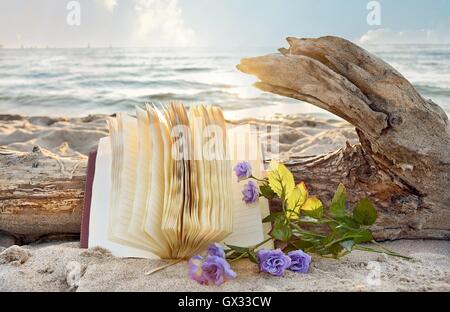 Open Journal und lila Rosen am Strand mit Treibholz-log Stockfoto