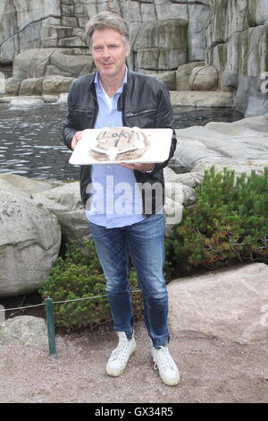 Deutsche TV-Moderatorin Jörg Pilawa feiert Walross "Loki" ersten Geburtstag im Tierpark Hagenbeck. Er taufte das Walross letztes Jahr.  Mitwirkende: Jörg Pilawa wo: Hamburg, Deutschland bei: 15. Juni 2016 Stockfoto