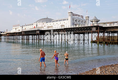 Brighton, UK. 15. Sep, 2016. Schwimmer machen am frühen Morgen Sonnenschein vor Brighton Beach, wie das September-Hitzewelle-Wetter im Südosten von England heute weiter, aber es wird voraussichtlich in den nächsten Tagen Credit viel cooler geworden: Simon Dack/Alamy Live News Stockfoto