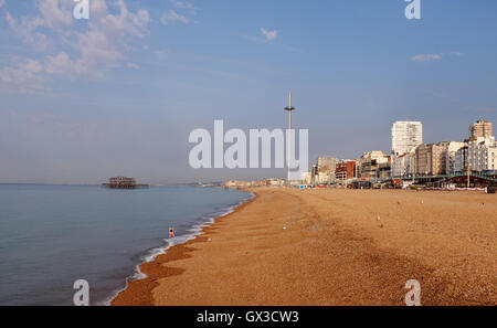 Brighton, UK. 15. Sep, 2016. Eine schöne frühmorgens am Brighton beach wie das September-Hitzewelle-Wetter im Südosten von England heute weiter, aber es wird voraussichtlich in den nächsten Tagen Credit viel cooler geworden: Simon Dack/Alamy Live News Stockfoto