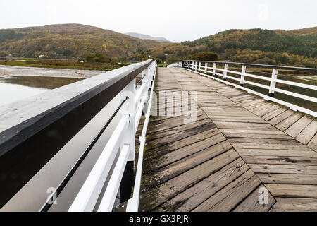 Holzkonstruktion Penmaenpool mautpflichtige Brücke über den Fluss Mawddach nahe Ortszentrum, Wales, Vereinigtes Königreich Stockfoto