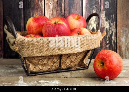 Frische Äpfel in einen Vintage Drahtkorb mit Sackleinen rustikale Holz Hintergrund Stockfoto
