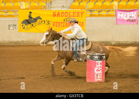 Cowgirl Faßlaufen in einer Reithalle, Tamworth. Stockfoto