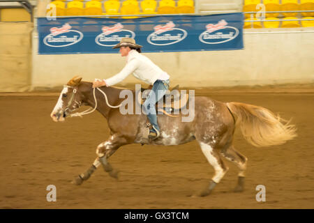 Cowgirl Faßlaufen in einer Reithalle, Tamworth. Stockfoto