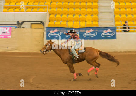 Cowgirl auf ein rotes Pferd Faßlaufen in einer Reithalle, Tamworth.Australia Stockfoto